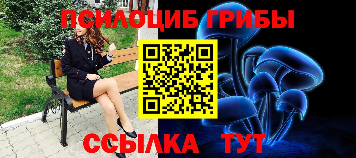 купить наркотики цена  Галлюциногенные грибы Psilocybine cubensis  Вход с VPN  Новодвинск  Псилоцибиновые грибы GOLDEN TEACHER 