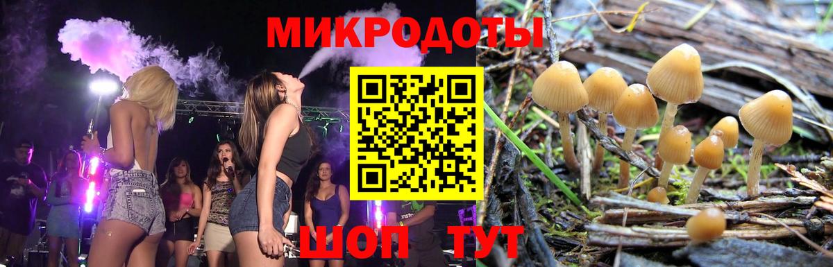 Псилоцибиновые грибы мицелий Новодвинск