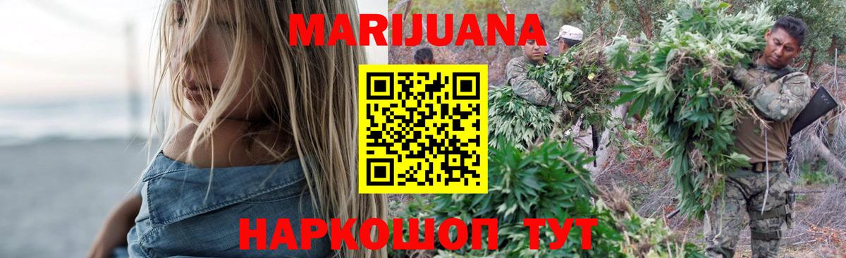 Конопля планчик Новодвинск